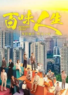 云上法庭 热播电视剧全集